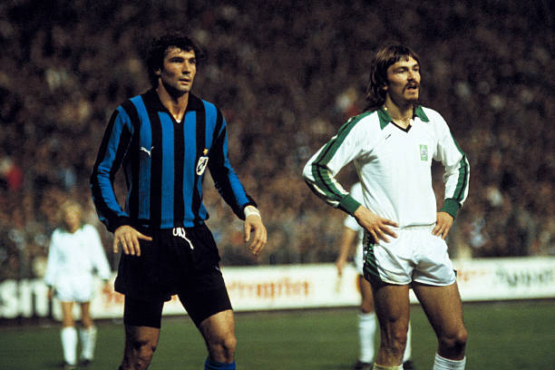 佩佩以这种 佩佩以这种