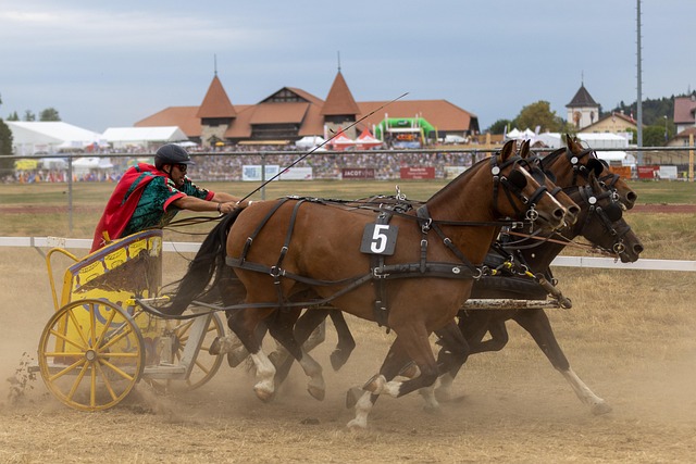 通过引入世 通过引入世